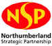 nsp logo